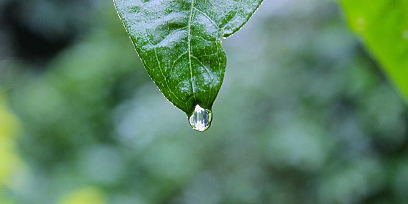 普拉提23:融合健身服务、康复训练与专业培训的现代身心整合之道