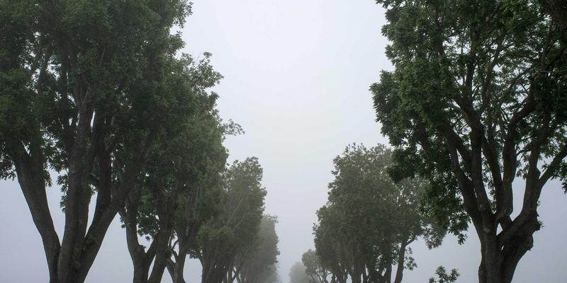 普拉提83：团体课程与私人教练的完美平衡，立信普拉提的专业之选