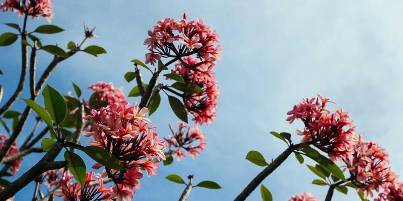 普拉提95：私人教练与团体课程的完美平衡 | 立信普拉提专业指南