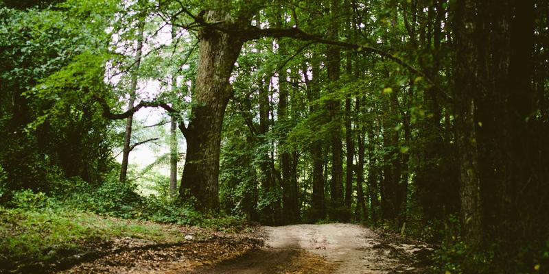 普拉提与芭蕾的融合之道：如何通过团体课程与私人教练服务提升舞者专业能力