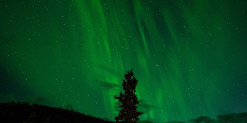 普拉提培训新维度：如何通过闭眼康复训练提升本体感觉与平衡能力