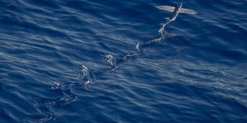 普拉提如何科学瘦身：融合康复训练原理，打造长效燃脂与紧致体形