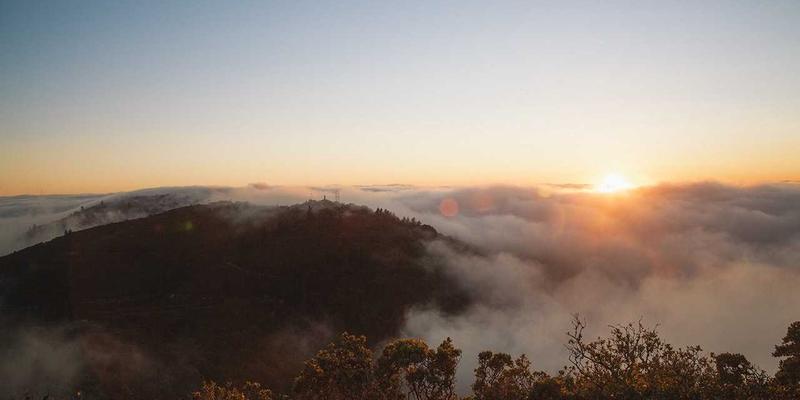 普拉提教程:从康复训练到科学健身服务的全面指南