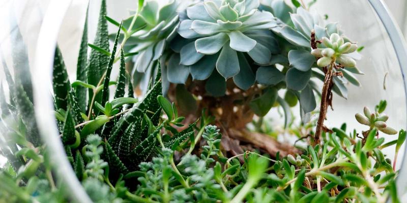 普拉提教练认证体系深度对比：如何选择国际主流机构开展团体课程与康复训练