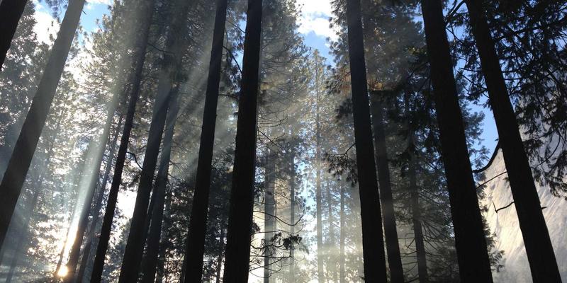 立信普拉提团体课程：精准雕刻腹部、臀部与手臂的康复训练方案