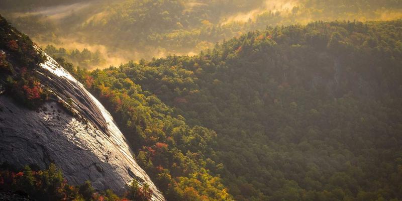立信普拉提培训：解锁魔力圈、弹力带与普拉提球的团体课程精要指南