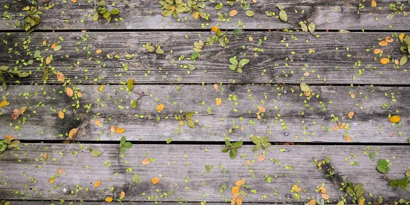 立信普拉提私教指南：解锁凯迪拉克床的高级动作与康复训练奥秘