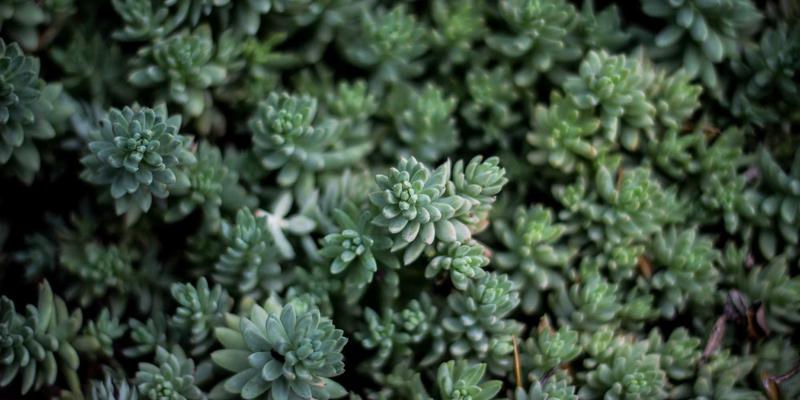 青少年体态矫正普拉提：立信普拉提的康复训练方案，科学应对脊柱侧弯与圆肩驼背